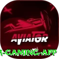 888roxo Premium Gaming App