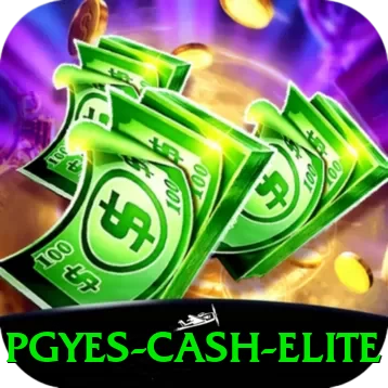 pgyes Cash Elite - plataforma